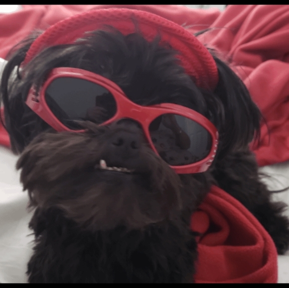 Meet your Posher, Karen - Picture 2 of 2